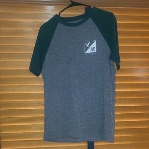 American Eagle Outfitters Men's Gray and Green Raglan Tee